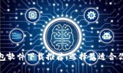 加密钱包软件下载推荐：选择最适合你的软件